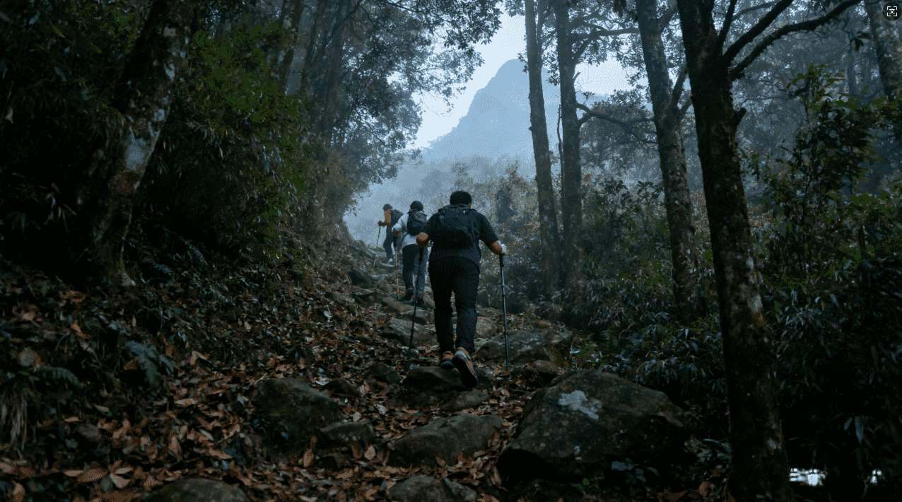 旋风加速器Beta测试揭秘用户首发体验